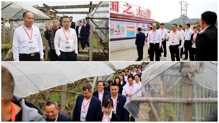 尊龙凯时人生就是搏 -官网首页