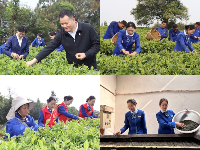 尊龙凯时人生就是搏 -官网首页