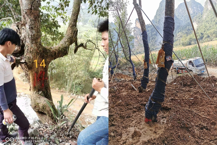 尊龙凯时人生就是搏 -官网首页