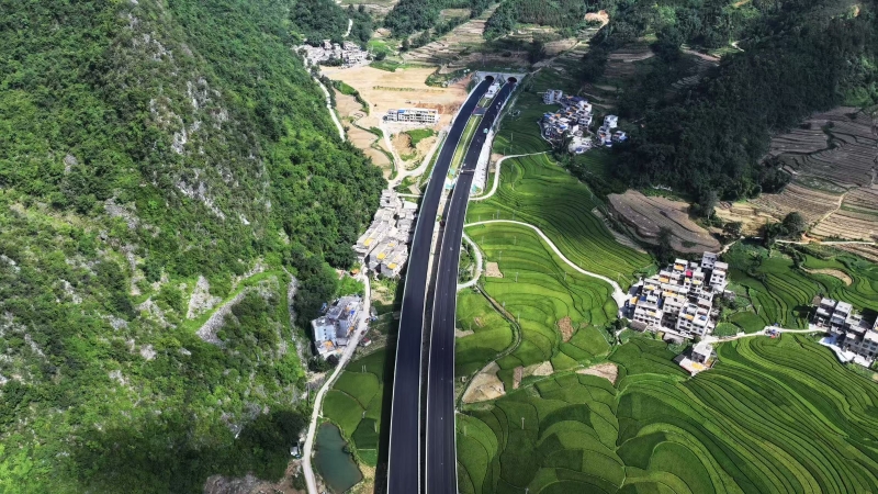 尊龙凯时人生就是搏 -官网首页